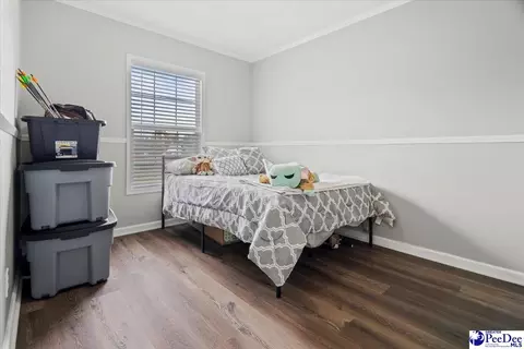 905 Alligator Rd, Effingham, SC 29541 photo 23