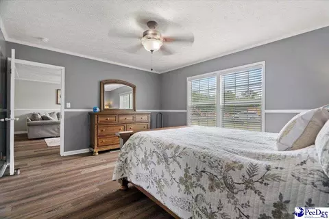 905 Alligator Rd, Effingham, SC 29541 photo 10