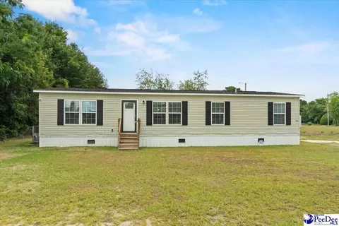 905 Alligator Rd, Effingham, SC 29541 photo 34