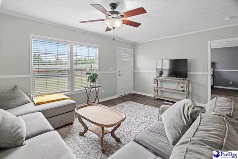 905 Alligator Rd, Effingham, SC 29541 photo 8