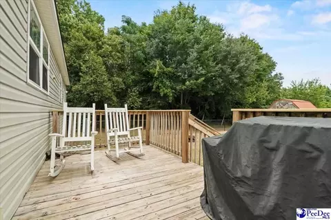 905 Alligator Rd, Effingham, SC 29541 photo 29
