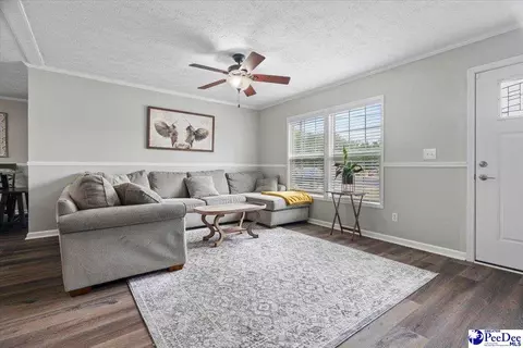 905 Alligator Rd, Effingham, SC 29541 photo 6