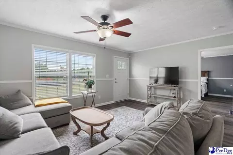 905 Alligator Rd, Effingham, SC 29541 photo 7