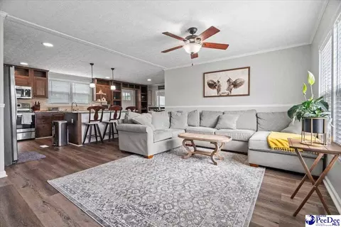 905 Alligator Rd, Effingham, SC 29541 photo 5