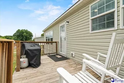 905 Alligator Rd, Effingham, SC 29541 photo 30