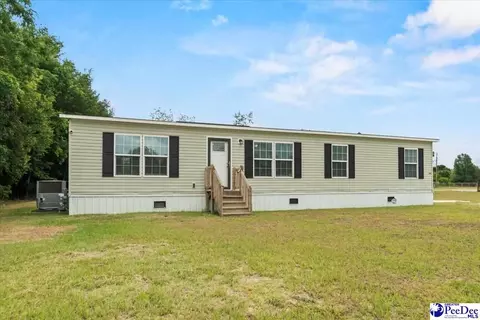 905 Alligator Rd, Effingham, SC 29541 photo 4
