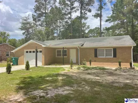 516 State Rd, Cheraw, SC 29520 photo 1