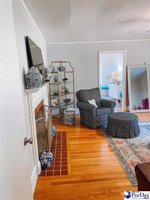 2396 Old Manning Rd, Scranton, SC 29591 photo 9