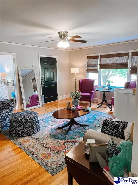 2396 Old Manning Rd, Scranton, SC 29591 photo 8
