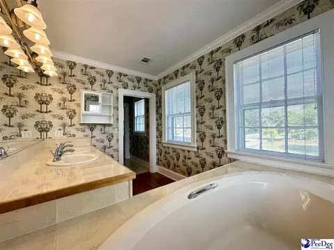 408 E Cleveland St, Dillon, SC 29536 photo 68