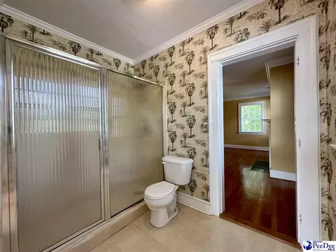408 E Cleveland St, Dillon, SC 29536 photo 64