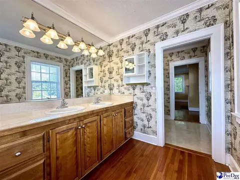 408 E Cleveland St, Dillon, SC 29536 photo 67