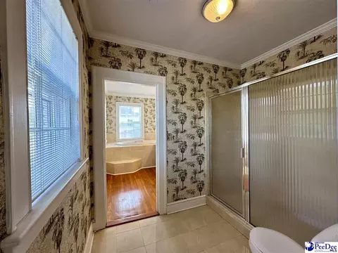 408 E Cleveland St, Dillon, SC 29536 photo 63