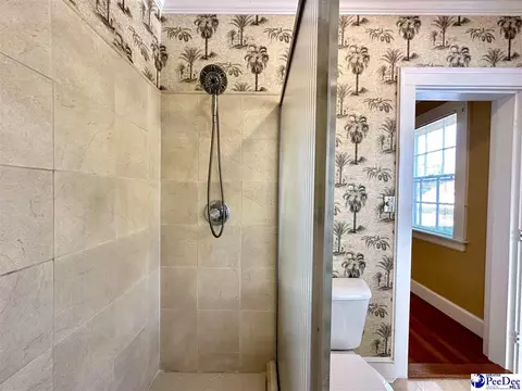 408 E Cleveland St, Dillon, SC 29536 photo 65