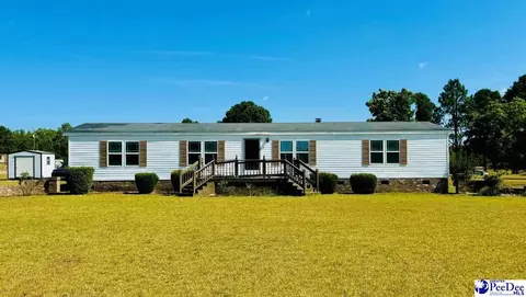65 Pe Lee Ln, Cheraw, SC 29520 photo 1