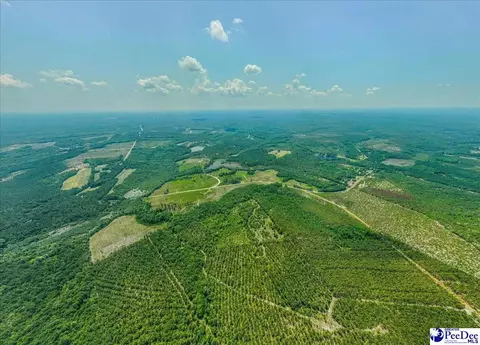 Turnage Rd-213.96 Acres, Patrick, SC 29584 photo 5