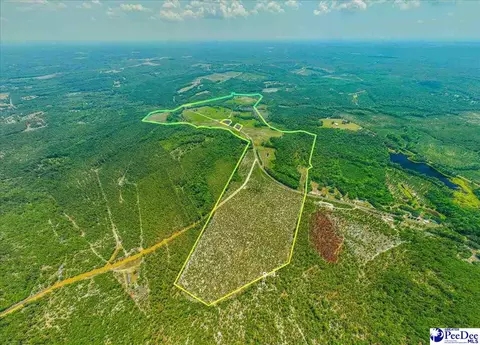 Turnage Rd-213.96 Acres, Patrick, SC 29584