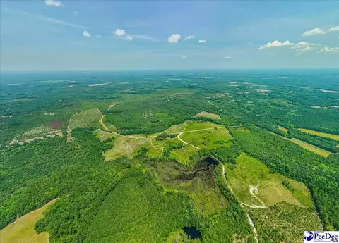 Turnage Rd-213.96 Acres, Patrick, SC 29584 photo 3