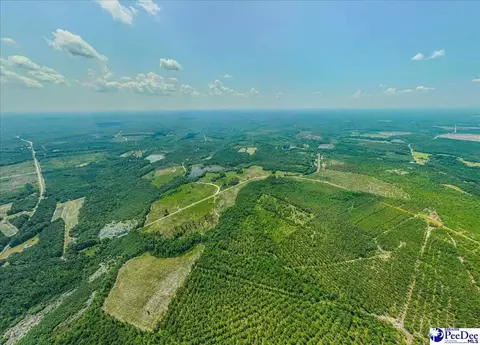 Turnage Rd-213.96 Acres, Patrick, SC 29584 photo 6