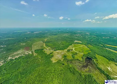 Turnage Rd-213.96 Acres, Patrick, SC 29584 photo 4