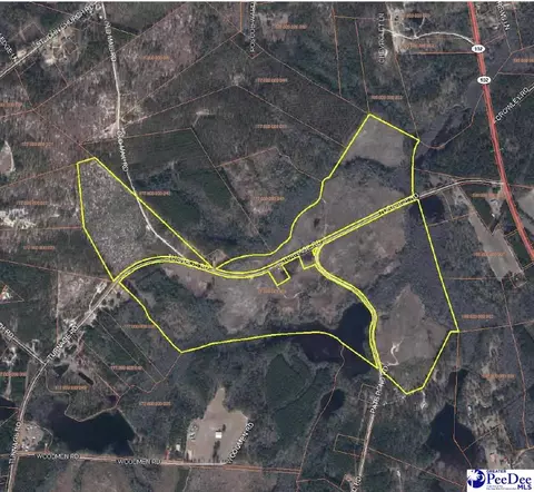 Turnage Rd-213.96 Acres, Patrick, SC 29584 photo 7