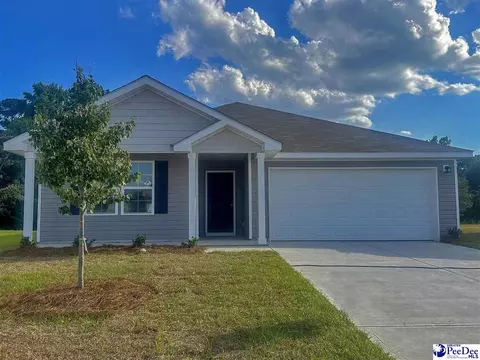1095 Rushmore Loop, Florence, SC 29506 photo 1