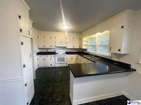 632 E Hampton St, Olanta, SC 29114 photo 6