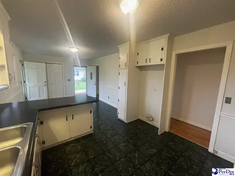 632 E Hampton St, Olanta, SC 29114 photo 9