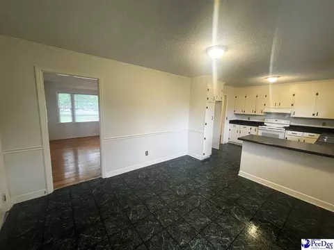 632 E Hampton St, Olanta, SC 29114 photo 10