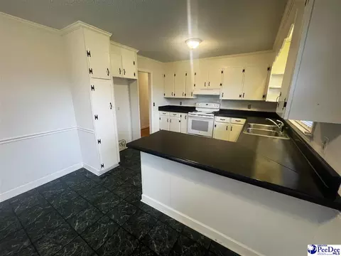 632 E Hampton St, Olanta, SC 29114 photo 7