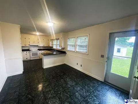 632 E Hampton St, Olanta, SC 29114 photo 8