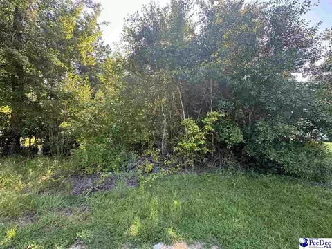 tbd S Wallace Rd, Florence, SC 29506
