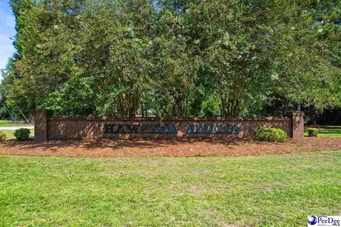 3218 W Hampton Pointe Dr, Florence, SC 29501 photo 41