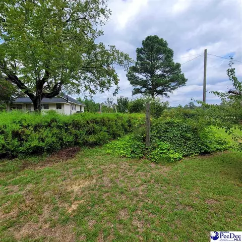 1602 Chewning Rd, Patrick, SC 29584 photo 42