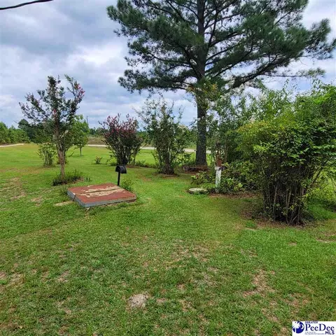 1602 Chewning Rd, Patrick, SC 29584 photo 43