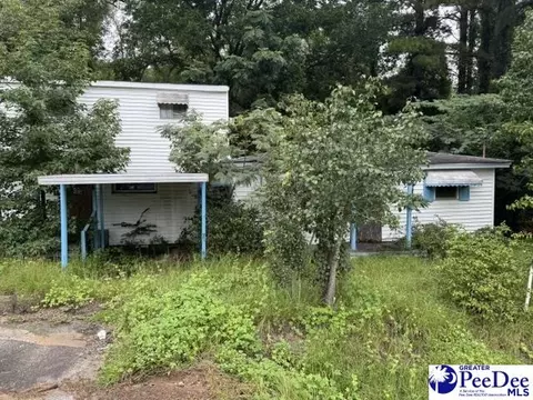 1916 Highway 9 E, Dillon, SC 29536 photo 3