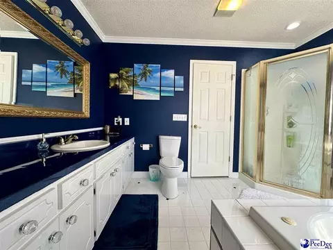 2309 Kentyre Rd, Dillon, SC 29536 photo 44