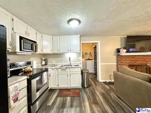 2309 Kentyre Rd, Dillon, SC 29536 photo 32