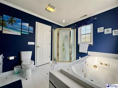 2309 Kentyre Rd, Dillon, SC 29536 photo 45