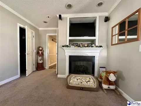 2309 Kentyre Rd, Dillon, SC 29536 photo 38
