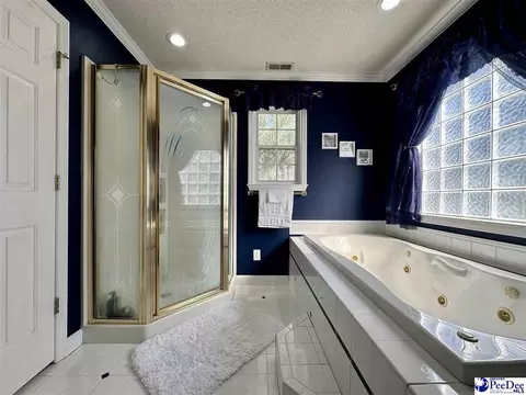 2309 Kentyre Rd, Dillon, SC 29536 photo 43