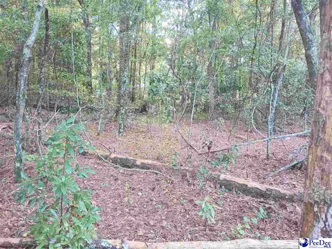 tbd Robert Rd #LOT 13, Lake City, SC 29560