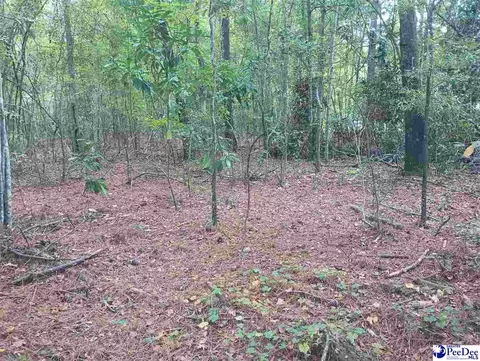 tbd Robert Rd #LOT 14, Lake City, SC 29560