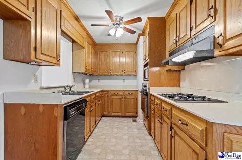 105 Windsor Dr, Cheraw, SC 29520 photo 20