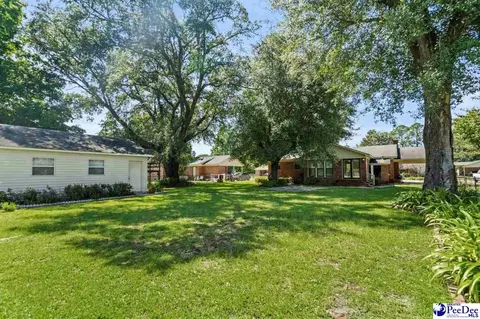 105 Windsor Dr, Cheraw, SC 29520 photo 6