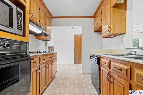105 Windsor Dr, Cheraw, SC 29520 photo 22