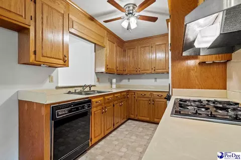 105 Windsor Dr, Cheraw, SC 29520 photo 21