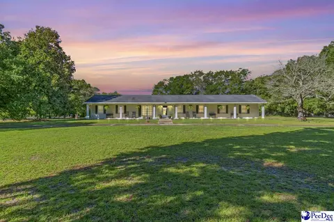 118 Bob White Rd, Cheraw, SC 29520 photo 1