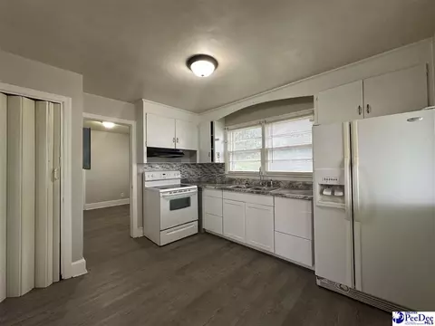 229 Stewart St, Dillon, SC 29536 photo 10