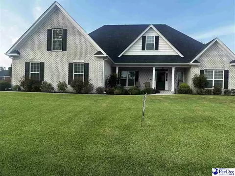409 Brushbrook, Effingham, SC 29541 photo 1